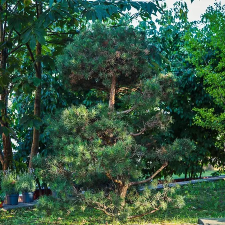 Zen & Art - De Charme * Santa Maria da Feira