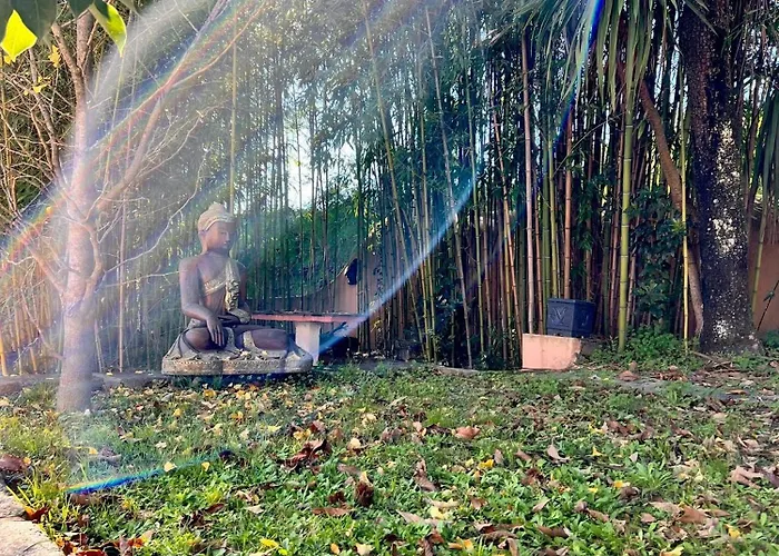 Homestay Zen & Art - De Charme *